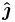 \mathbf{\hat{\boldsymbol{\jmath}}}