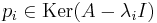 p_i \in \operatorname{Ker}(A-\lambda_{i} I)