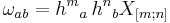 \omega_{ab} = {h^m}_a \, {h^n}_b X_{[m;n]}