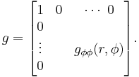 g = \begin{bmatrix}
1&0&\cdots\ 0\\
0&&\\
\vdots &&g_{\phi\phi}(r,\phi)\\
0&&
\end{bmatrix}.