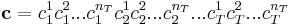 \mathbf{c} = c_1^1c_1^2...c_1^{n_T}c_2^1c_2^2...c_2^{n_T}...c_T^1c_T^2...c_T^{n_T}