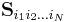 \mathbf{S}_{i_1 i_2 \ldots i_N}