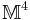 \mathbb M^4