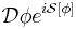 \mathcal{D}\phi e^{i\mathcal{S}[\phi]}