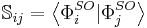  \mathbb{S}_{ij} = \left\langle \Phi_i^{SO} | \Phi_j^{SO} \right\rangle 