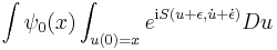 
\int \psi_0(x) \int_{u(0)=x} e^{{\rm i}S(u%2B\epsilon,\dot{u}%2B\dot{\epsilon})} Du
\,