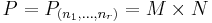 P = P_{(n_1,\ldots,n_r)} = M \times N