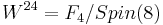 W^{24}=F_4/Spin(8)