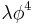 \lambda \phi^4