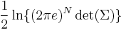 \frac{1}{2}\ln\{(2\pi e)^{N} \det(\Sigma)\}