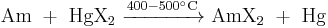 \mathrm{\ Am\ %2B\ HgX_2\ \xrightarrow {400 - 500 ^\circ C} \ AmX_2\ %2B \ Hg \ }