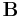 \mathbf{B}