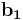 \mathbf{b_{1}}