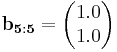 
\mathbf{b_{5:5}} = \begin{pmatrix}  1.0 \\ 1.0\end{pmatrix}
