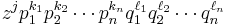  z^j p_1^{k_1} p_2^{k_2} \cdots p_n^{k_n} q_1^{\ell_1} q_2^{\ell_2} \cdots q_n^{\ell_n}