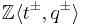 \mathbb Z\langle t^{\pm},q^{\pm}\rangle