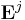  \mathbf{E}^j 