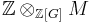 \mathbb{Z}\otimes_{\mathbb{Z}[G]}M