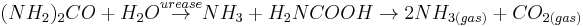 (NH_{2})_{2}CO %2B H_{2}O \stackrel{urease}{\rightarrow} NH_{3} %2B H_{2}NCOOH  \rightarrow2NH_{3(gas)} %2B CO_{2(gas)}