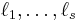 \ell_1, \ldots, \ell_s