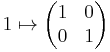 1 \mapsto \begin{pmatrix}
  1 & 0 \\
  0 & 1
\end{pmatrix}