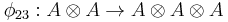 \phi_{23}�: A \otimes A \to A \otimes A \otimes A