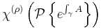 \chi^{(\rho)}\left(\mathcal{P}\left\{e^{\int_\gamma A}\right\}\right)