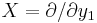 X = \partial / \partial y_1