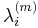 \lambda_i^{(m)}