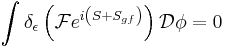 \int \delta_\epsilon \left( \mathcal{F} e^{i\left(S%2BS_{gf}\right)}\right) \mathcal{D}\phi = 0