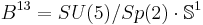 B^{13}=SU(5)/Sp(2)\cdot\Bbb S^1