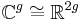 \mathbb{C}^g \cong \mathbb{R}^{2g}