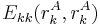 E_{kk}(r_{k}^{A}, r_{k}^{A})