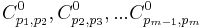 C_{p_1,p_2}^0,C_{p_2,p_3}^0,...C_{p_{m-1},p_m}^0