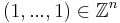  (1, . . . ,1) \in \mathbb{Z}^n 