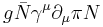 
g \bar{N}\gamma^\mu \partial_\mu \pi N
\,