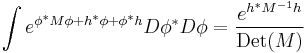  \int e^{\phi^* M \phi %2B h^* \phi %2B \phi^* h } D\phi^* D\phi = {e^{h^* M^{-1} h} \over \mathrm{Det}(M)}