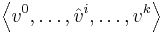 \left \langle v^0 , \dots , \hat{v}^i , \dots ,v^k\right \rangle