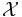 \mathcal{X}