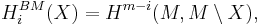 \ H^{BM}_i(X)= H^{m-i}(M,M\setminus X),