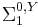 \Sigma^{0,Y}_1