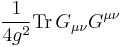 \frac1{4g^2}{\rm Tr}\,G_{\mu\nu}G^{\mu\nu}