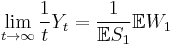  \lim_{t \to \infty} \frac{1}{t} Y_t = \frac{1}{\mathbb{E}S_1} \mathbb{E}W_1 