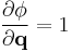 \frac{\partial \phi}{\partial \mathbf{q}} = 1