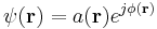 \psi(\mathbf{r}) = a(\mathbf{r}) e^{j \phi (\mathbf{r}) }  