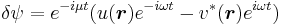  \delta\psi = e^{-i\mu t}(u(\boldsymbol{r})e^{-i\omega t} - v^*(\boldsymbol{r})e^{i\omega t})