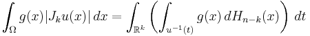 \int_\Omega g(x) |J_k u(x)|\, dx = \int_{\mathbb{R}^k} \left(\int_{u^{-1}(t)}g(x)\,dH_{n-k}(x)\right)\,dt