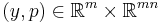 (y, p) \in \mathbb{R}^m \times \mathbb{R}^{mn}