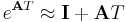 e^{\mathbf AT} \approx \mathbf I %2B \mathbf A T