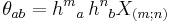 \theta_{ab} = {h^m}_a \, {h^n}_b X_{(m;n)}